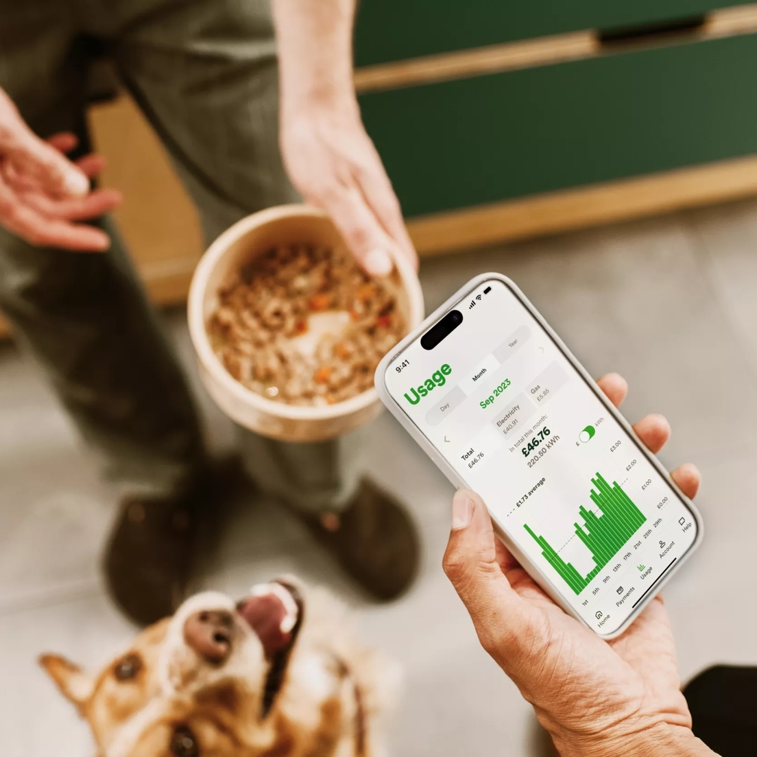 Detail Info Section image