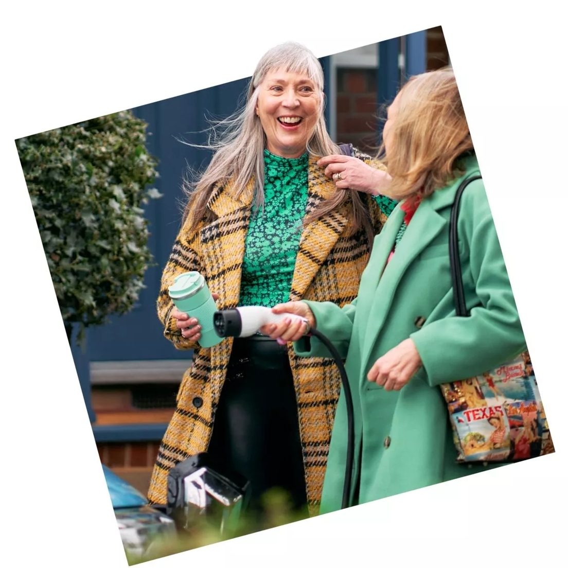 Detail Info Section image