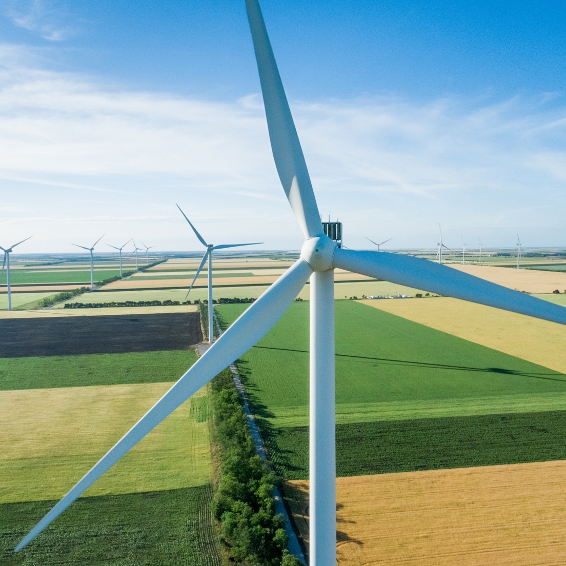 Detail Info Section image