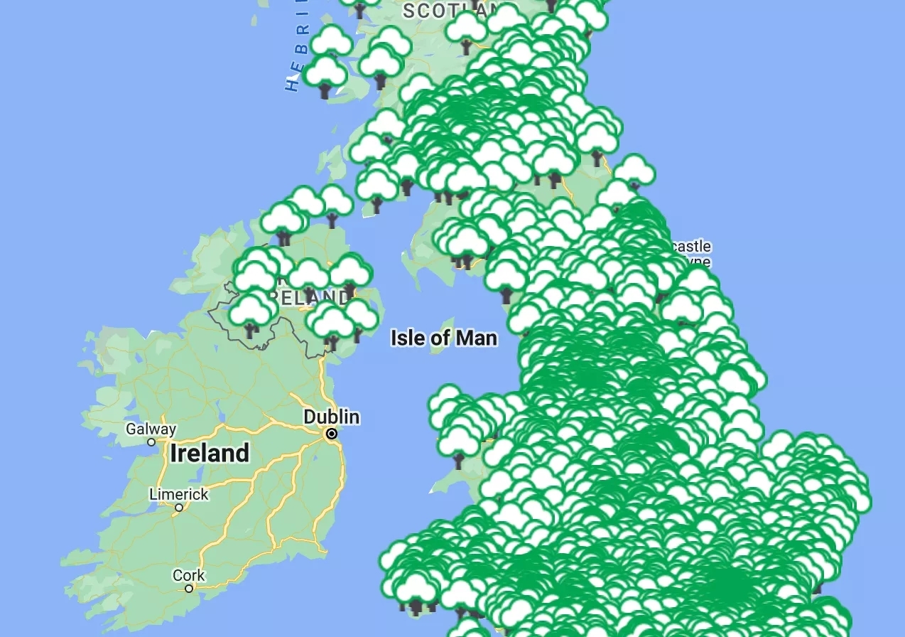 Detail Info Section image