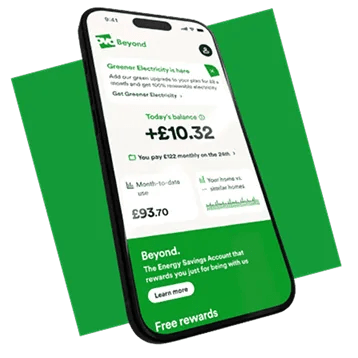 Detail Info Section image