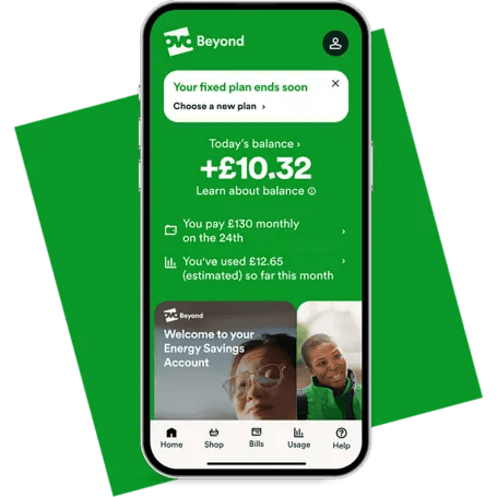 Detail Info Section image