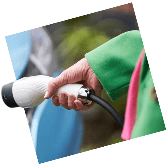 Detail Info Section image