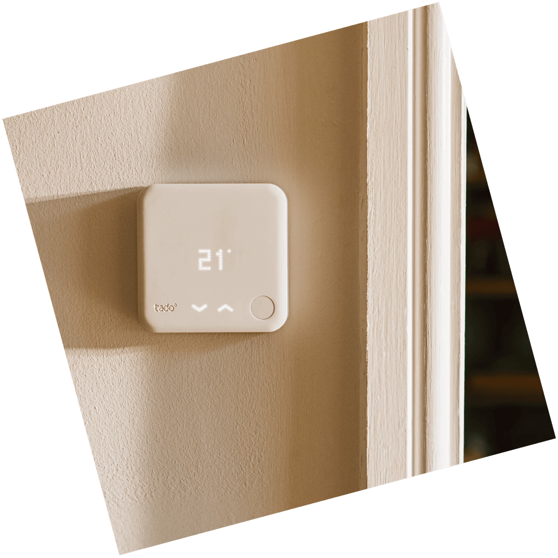 Detail Info Section image