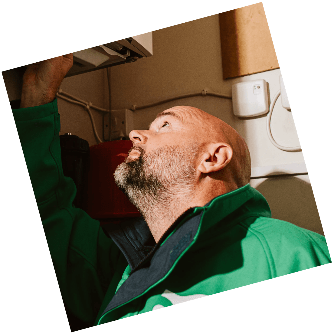 Detail Info Section image