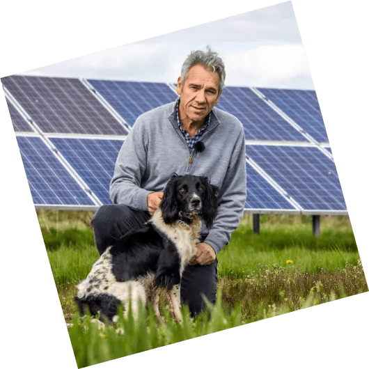 Detail Info Section image