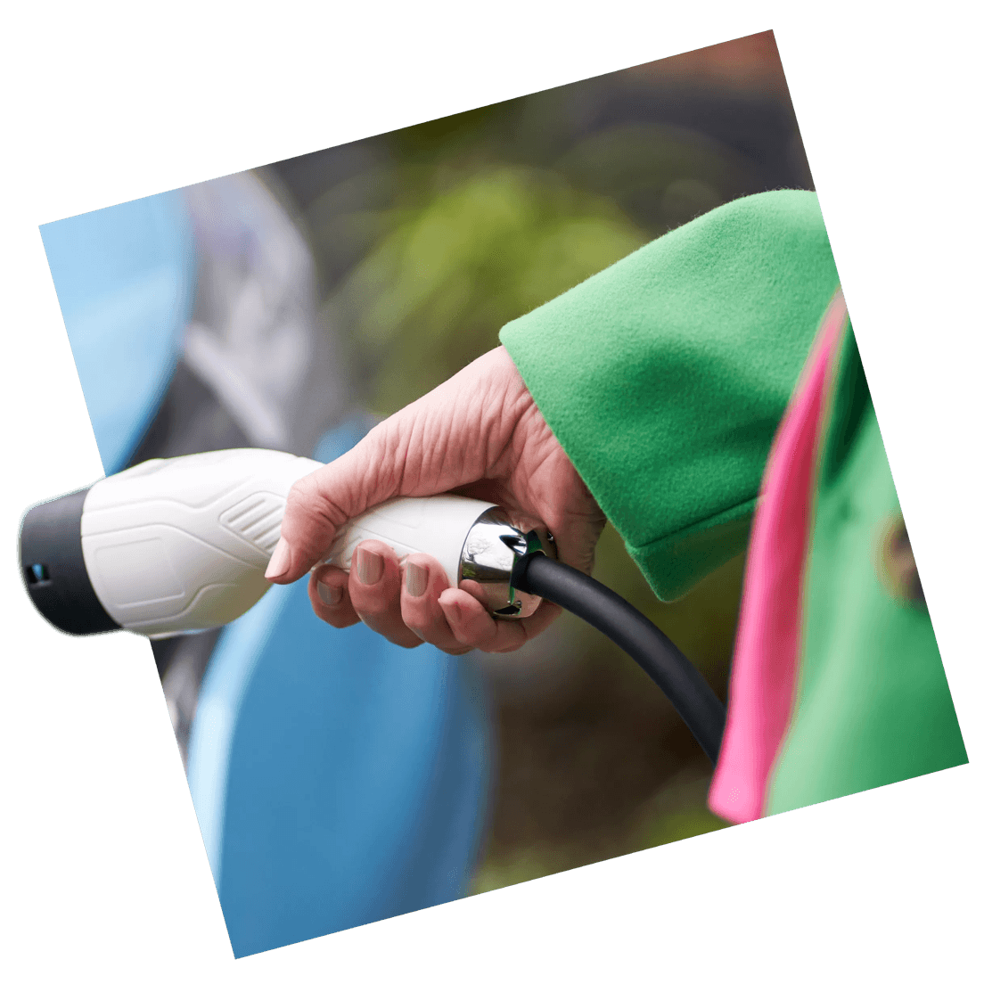 Detail Info Section image