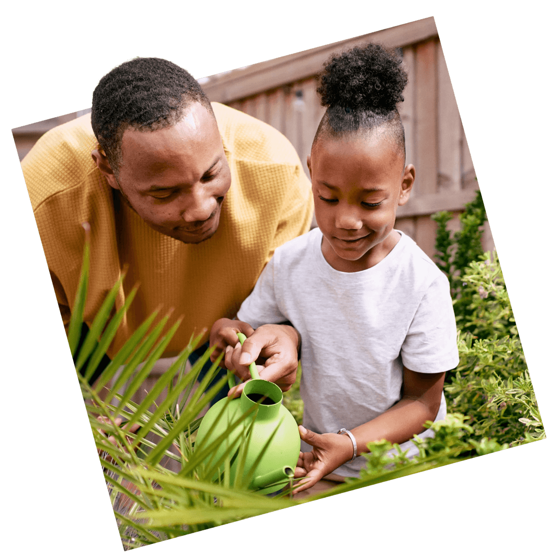 Detail Info Section image