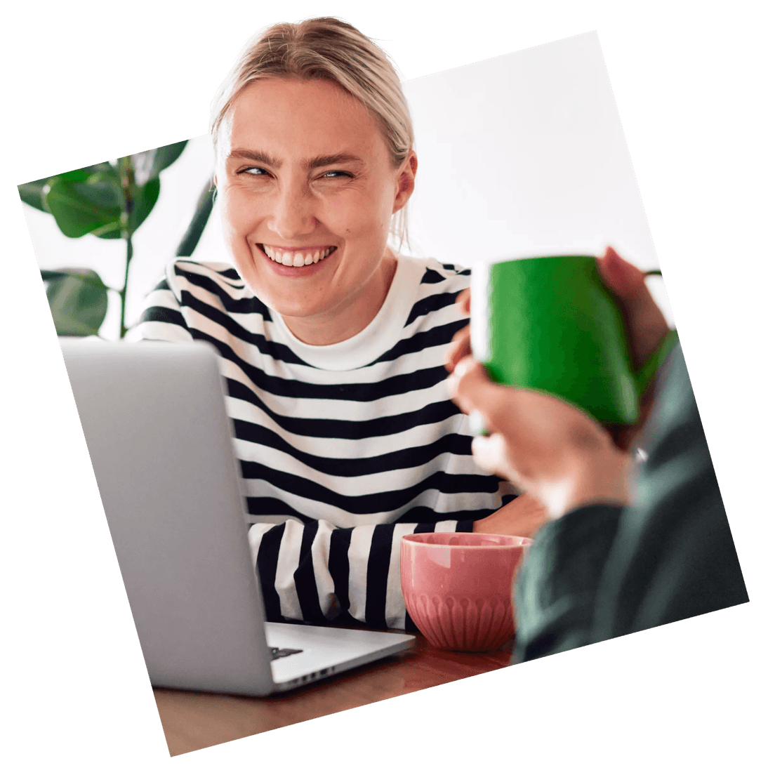 Detail Info Section image