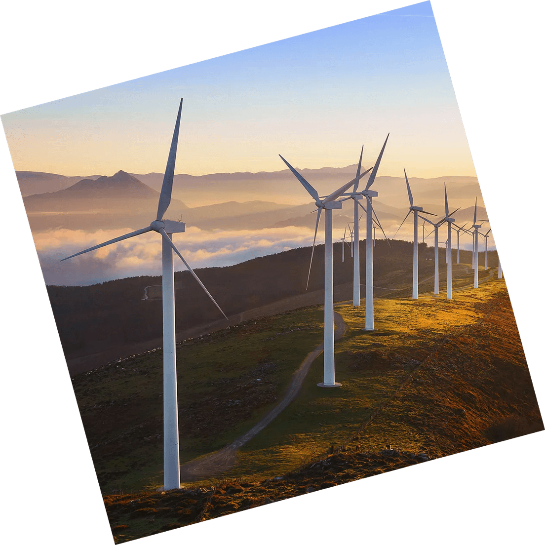 Detail Info Section image